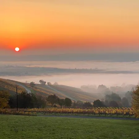 Balthasar Ress Am Rebhang Im Rheingau Nyaraló Oestrich-Winkel