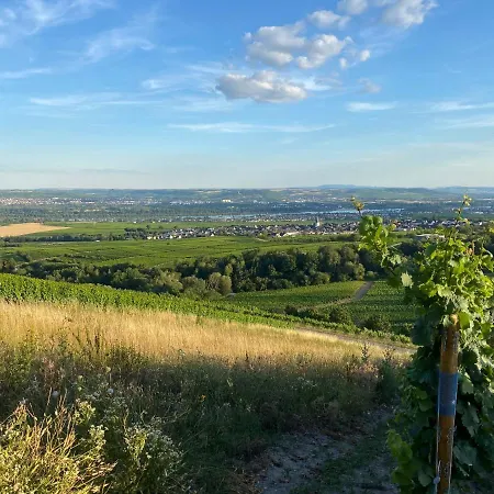 Balthasar Ress Am Rebhang Im Rheingau Nyaraló