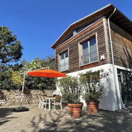 Balthasar Ress Am Rebhang Im Rheingau *