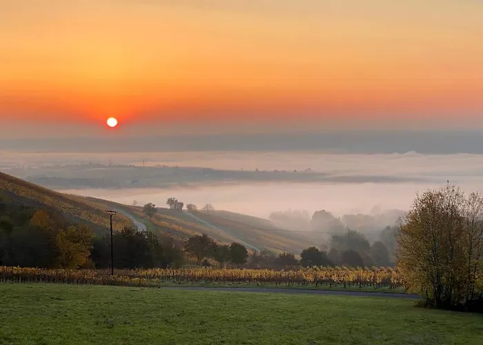 Balthasar Ress Am Rebhang Im Rheingau בית נופש אוסטריך-ווינקל