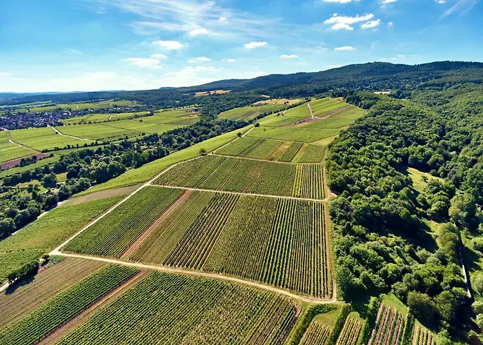 Balthasar Ress Am Rebhang Im Rheingau בית נופש