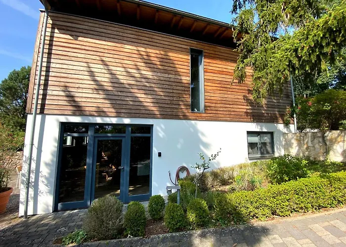 Balthasar Ress Am Rebhang Im Rheingau בית נופש אוסטריך-ווינקל